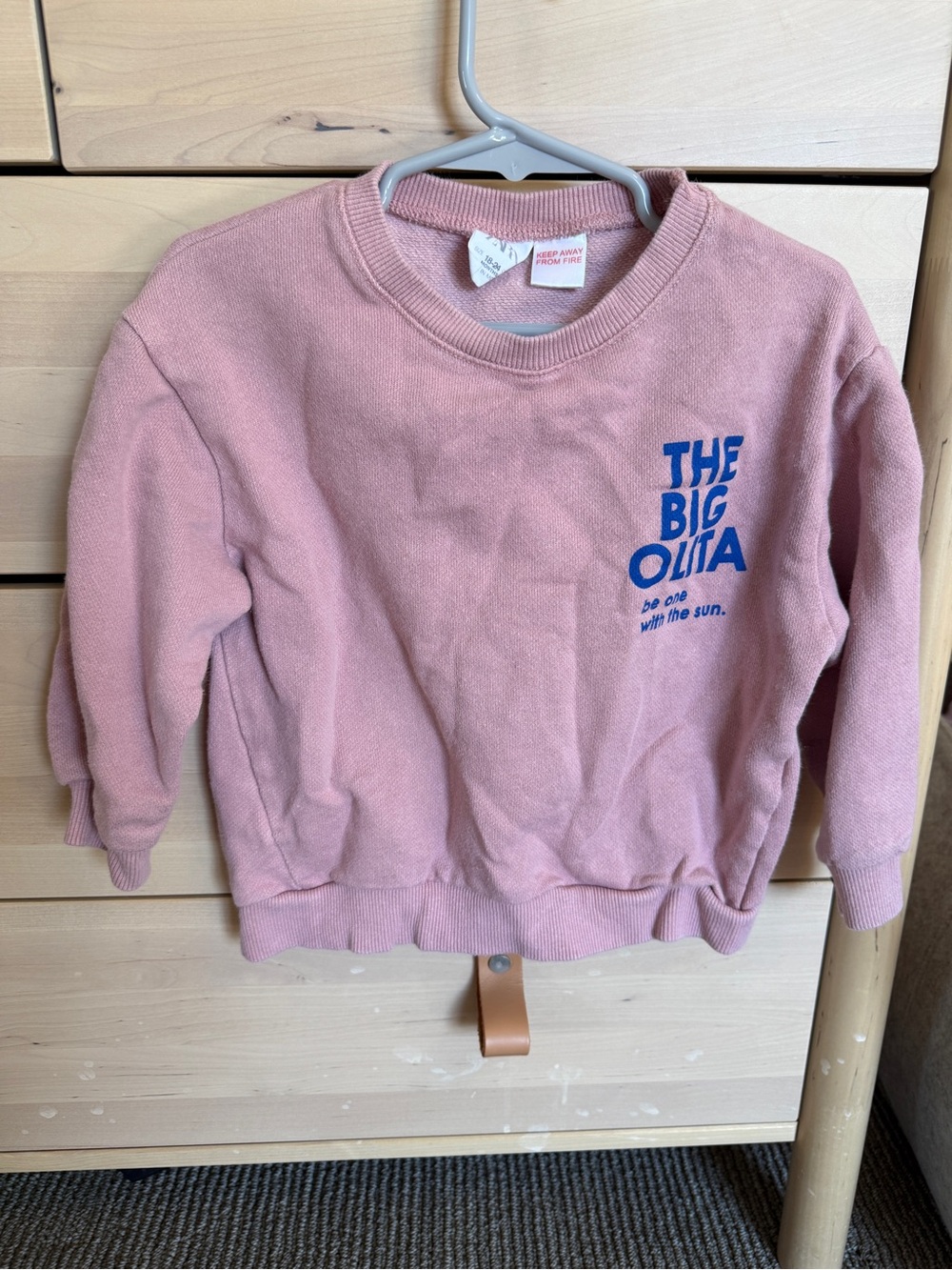 Zara Toddler Girl Crewneck